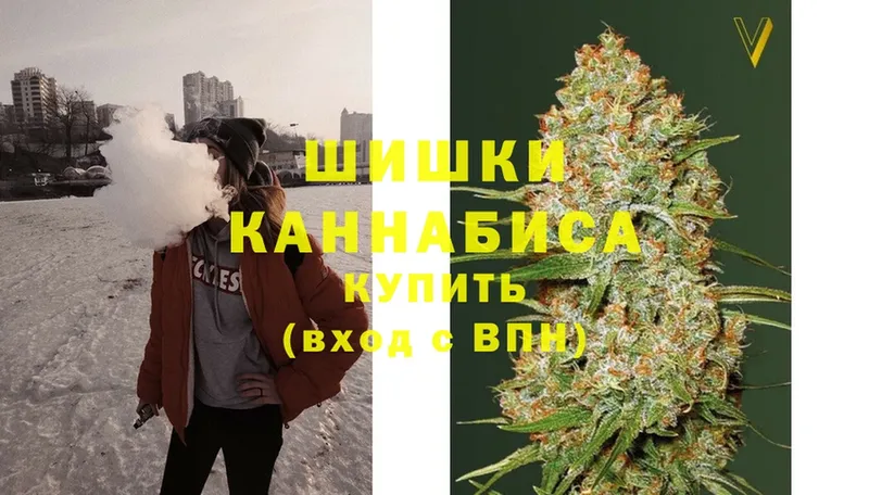 купить закладку  Гусиноозёрск  Шишки марихуана SATIVA & INDICA 